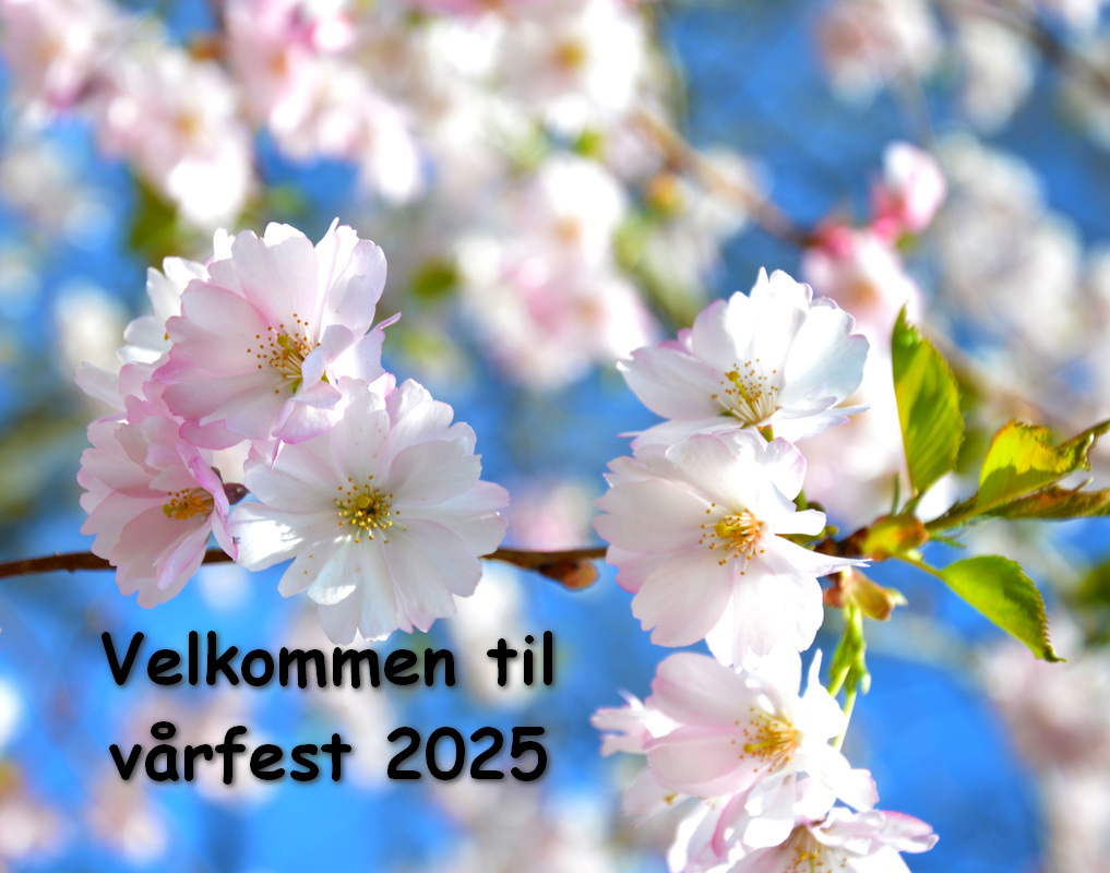 Velkommen til vårfesten 2025