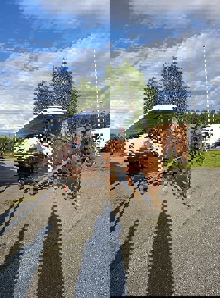 Sommertur til Vauldalen 31. juni - 3. august 2025